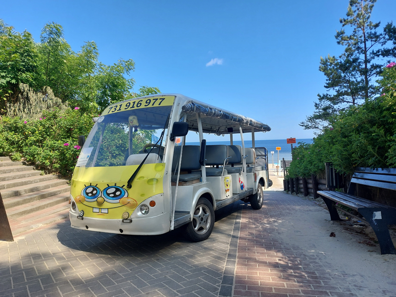 Zdjęcie na okładce dla Taxi Melex Sztutowo SpongeBob Meleks